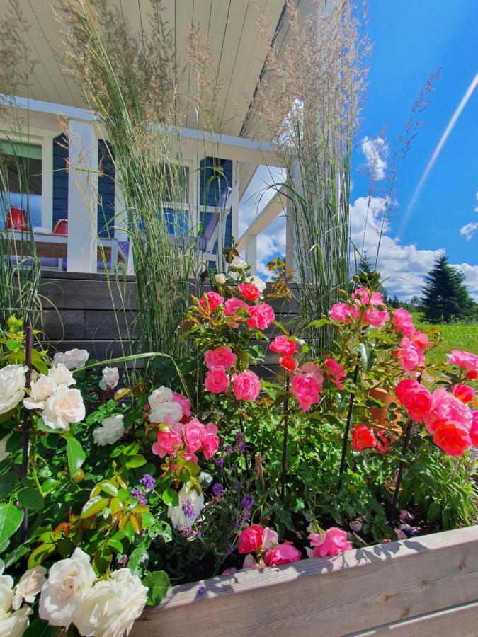 Otepää Kalda Holiday Home מראה חיצוני תמונה